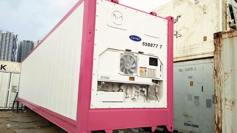 A pink refrigerated shipping container with a carrier cooling unit, placed in a cargo area with other containers.