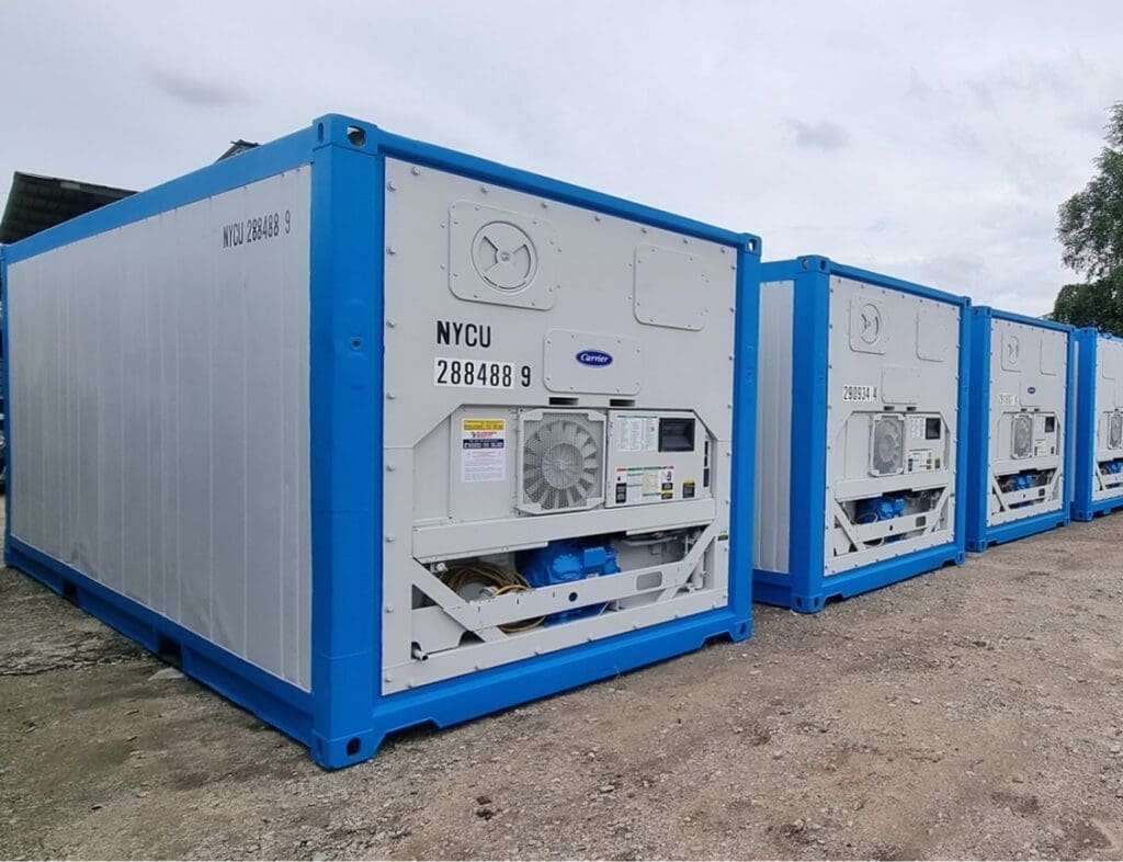 Blue refrigerated shipping containers aligned in an outdoor storage area.